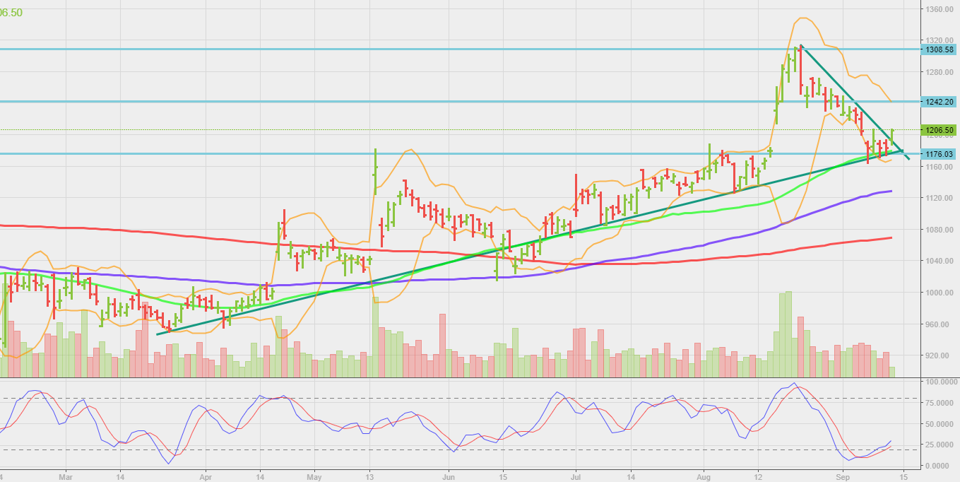 bxb chart (1) bxb chart (1)